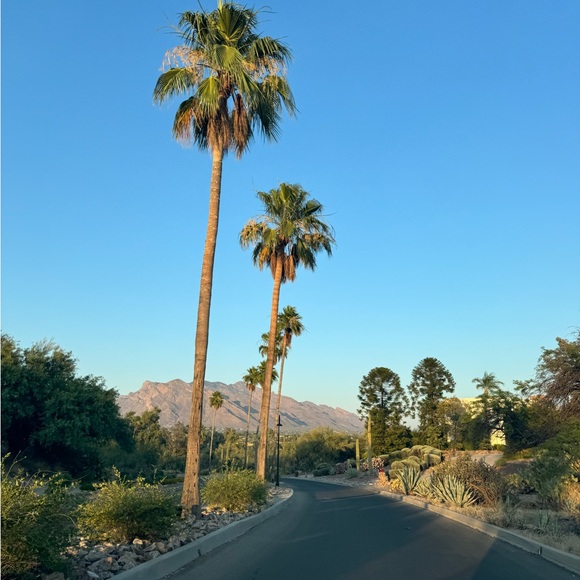 About me 🌴 - Picture 1 of 2